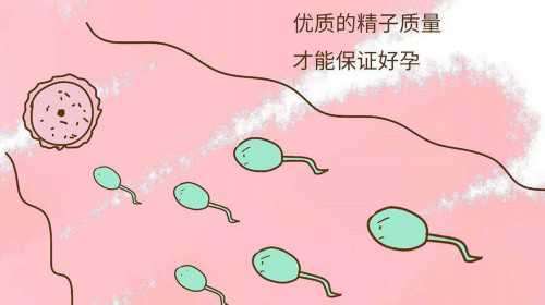 北京三代试管助孕机构排名?,北京助孕机构哪家好_代孕公司多吗
